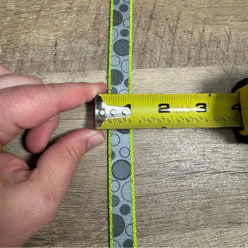 Green Reflective Dog Leash